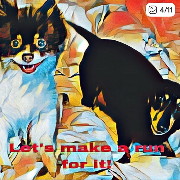 netters Other - No sell in one week...